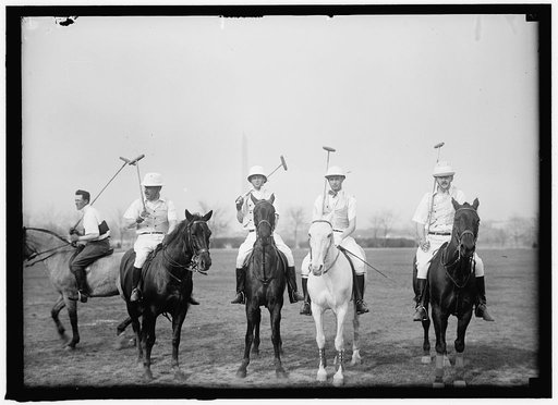 POLO