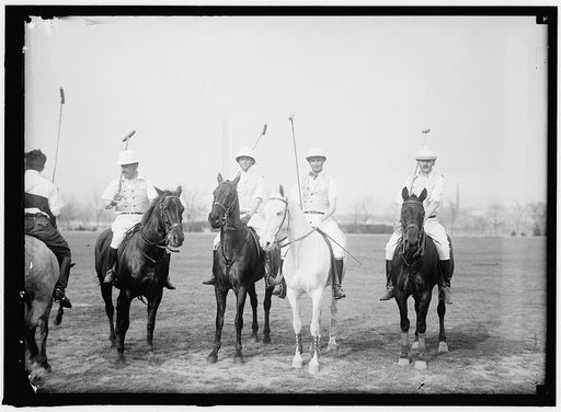POLO