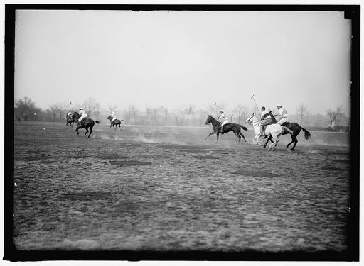 POLO
