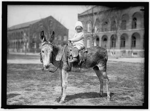 HODGES, JOHN. INFANT. ON DONKEY AT WASHINGTON BARRACKS