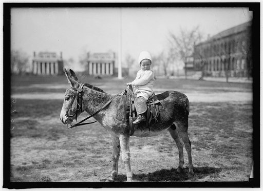 HODGES, JOHN. INFANT. ON DONKEY AT WASHINGTON BARRACKS