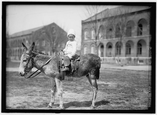 HODGES, JOHN. INFANT. ON DONKEY AT WASHINGTON BARRACKS