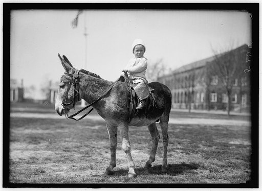 HODGES, JOHN. INFANT. ON DONKEY AT WASHINGTON BARRACKS