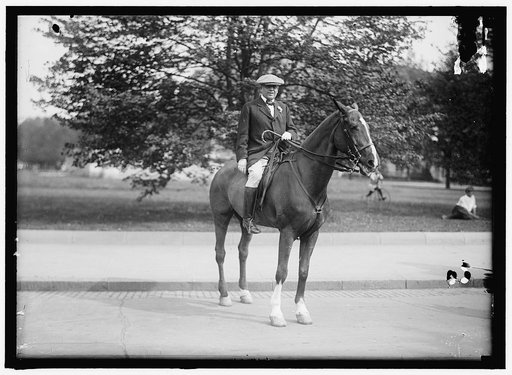 GARDNER, AUGUSTUS PEABODY. REP. FROM MASSACHUSETTS, 1902-1917. COL. AG. O, DURING WAR. RIDING AND HUNT CLUB PICNIC