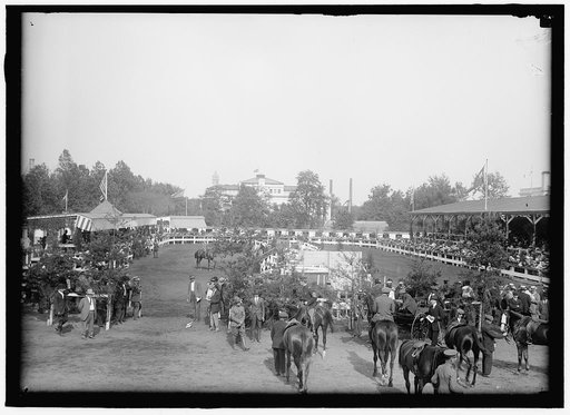 HORSE SHOWS. GENERAL VIEW