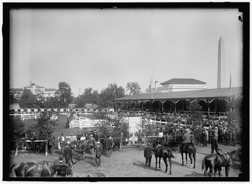 HORSE SHOWS. GENERAL VIEW
