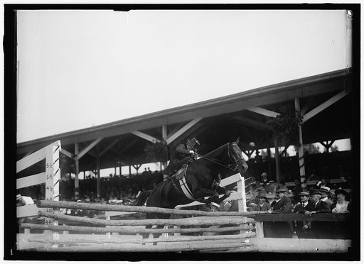 HORSE SHOWS