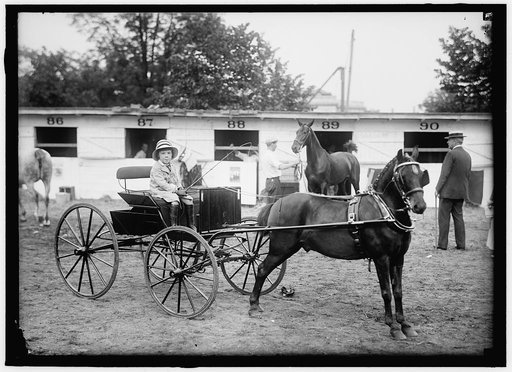 HORSE SHOWS. CLARENCE MOORE