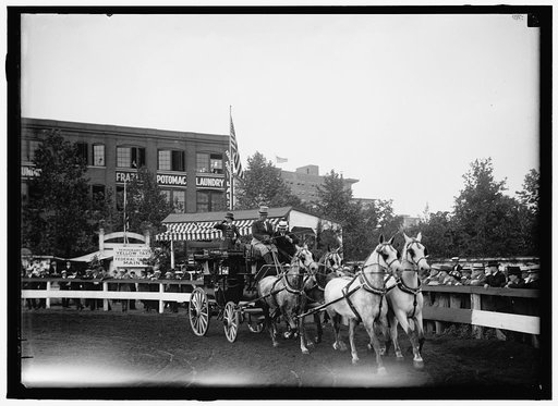 HORSE SHOWS. W.H. MOORE