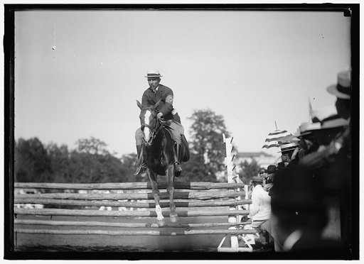 HORSE SHOWS