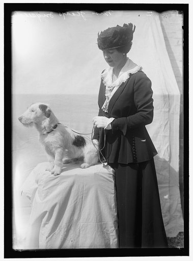 INGALLS, GLADYS. MRS. ARNOLD ROBERTSON. DOG SHOW