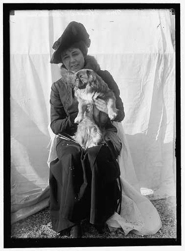 DOG SHOWS. UNIDENTIFIED WOMAN WITH ENTRY