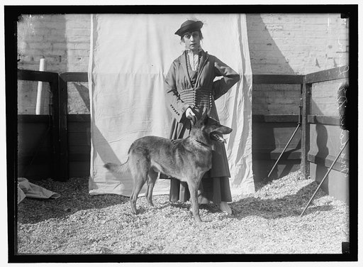 DeLEON, MME. DOG SHOWS