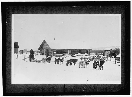 ALASKA DOG TEAM AND MUSHER