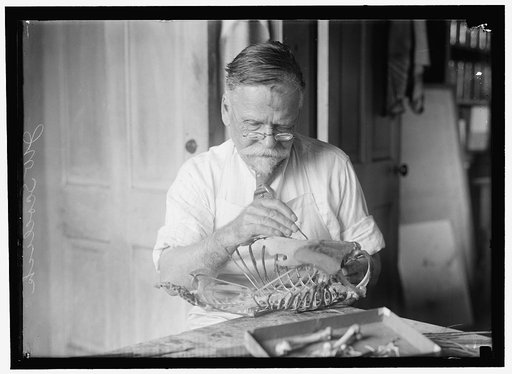 SCOLLICK, J.W., OF SMITHSONIAN INSTITUTE