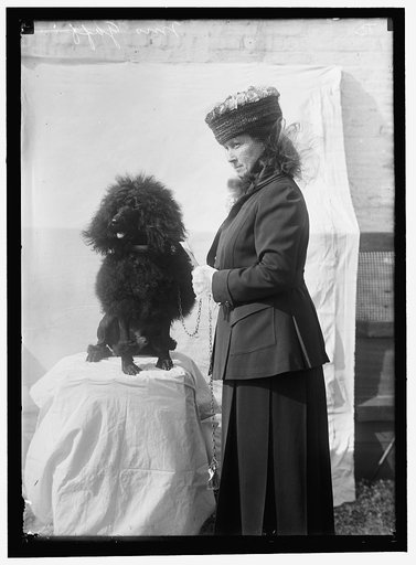GOFF, MRS. DOG SHOW
