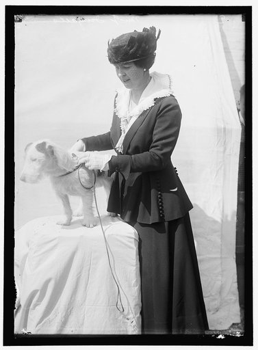 INGALLS, GLADYS. MRS. ARNOLD ROBERTSON. DOG SHOW