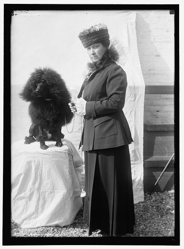 GOFF, MRS., DOG SHOW