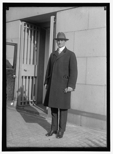 McADOO, WILLIAM GIBBS. SECRETARY OF THE TREASURY, 1913-1921