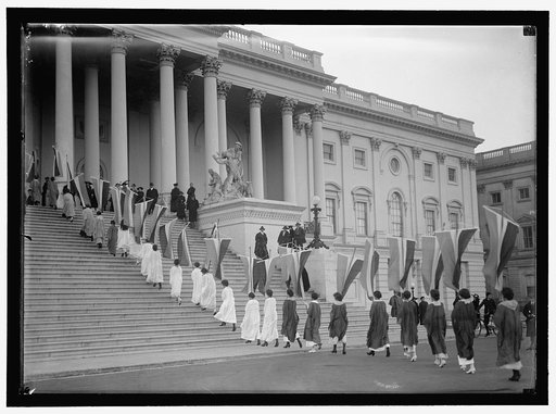 WOMAN SUFFRAGE. AT CAPITOL WITH BANNERS