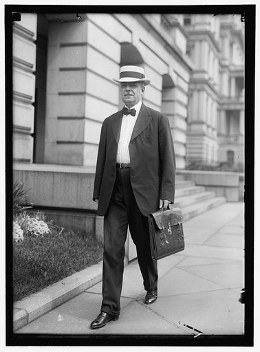 LANSING, ROBERT. SECRETARY OF STATE, 1915-1920