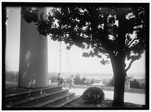 ARLINGTON MANSION. COLUMNS
