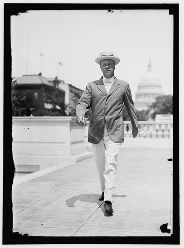 PETERS, ANDREW JAMES, REP. FROM MASSACHUSETTS, 1907-1914; ASST. SECRETARY TREASURY, 1914-1917; MAYOR OF BOSTON, 1918-1922
