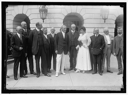 DEMOCRATIC NATIONAL COMMITTEE. MARSH; LYNCH; CUMMINGS; JOHNSON; WILSON; McNAB; MRS. WILSON; GLASS, PARTLY HIDDEN; McCORMICK; SMITH; WALSH