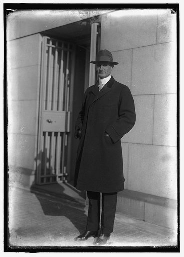 McADOO, WILLIAM GIBBS. SECRETARY OF THE TREASURY, 1913-1921