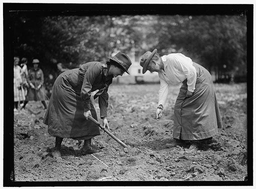 GIRL SCOUTS GARDENING