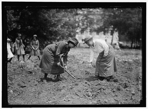 NATIONAL EMERGENCY WAR GARDENS COM. GIRL SCOUTS GARDENING AT D.A.R.