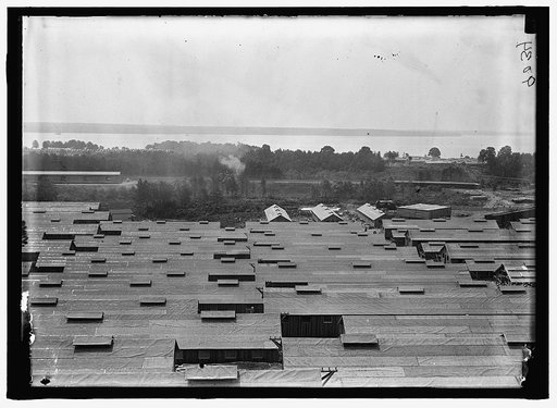 CAMP