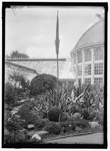 BOTANICAL GARDENS