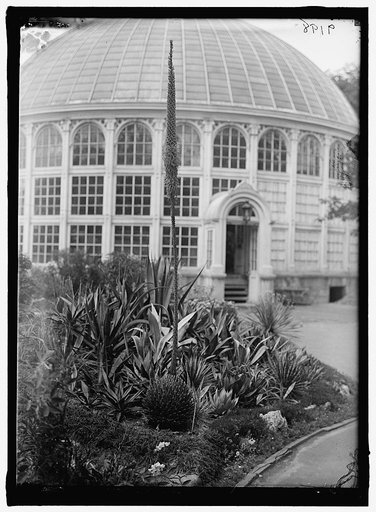 BOTANICAL GARDENS