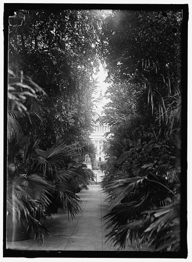 BOTANICAL GARDENS