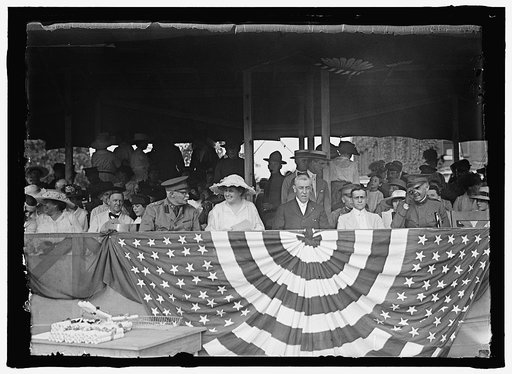 WOODROW WILSON [WILSON ON REVIEWING STAND