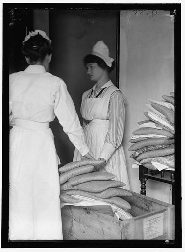SAINT ELIZABETH'S HOSPITAL. WHITE, DR. WILLIAM A., SUPT.