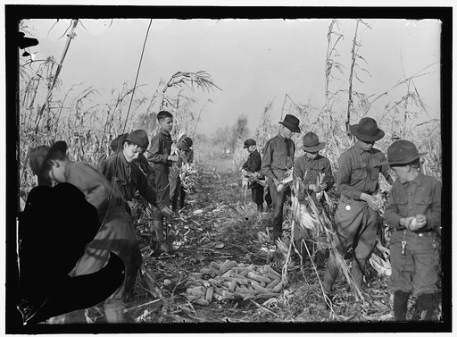 BOY SCOUTS. BOY SCOUT FARM