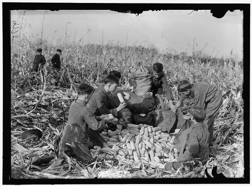 BOY SCOUTS. BOY SCOUT FARM