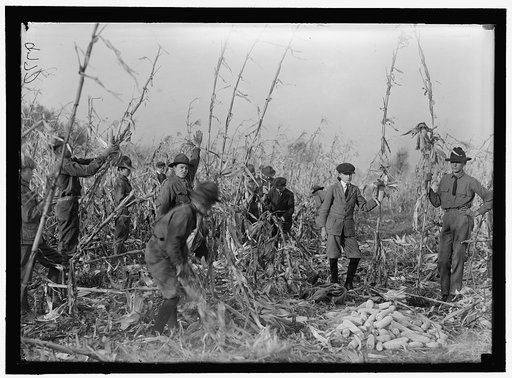 BOY SCOUTS. BOY SCOUT FARM