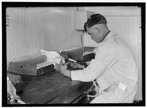 ARMY, U.S. ARMY MEDICAL SCHOOL; TYPHOID VACCINE