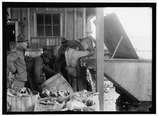 CAMP MEADE, MARYLAND. MISC. VIEWS