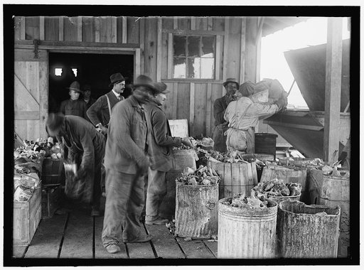 CAMP MEADE, MARYLAND. MISC. VIEWS