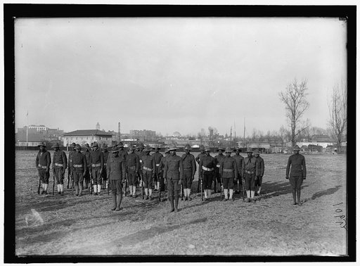 ARMY, U.S. NEGRO TROOPS