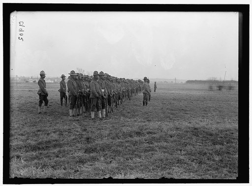 ARMY, U.S. NEGRO TROOPS