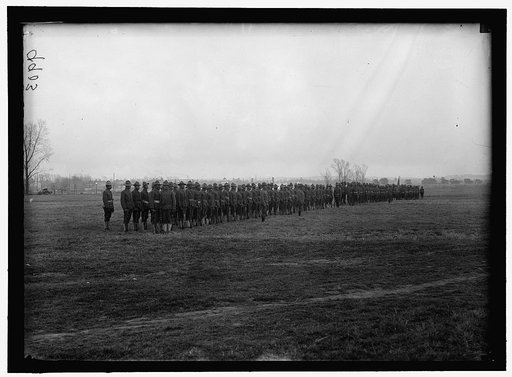 ARMY, U.S. NEGRO TROOPS