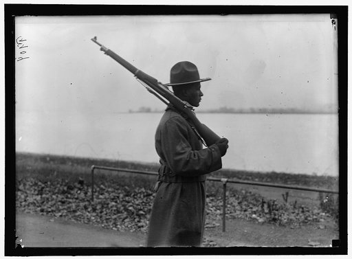 ARMY, U.S. NEGRO TROOPS