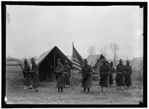 ARMY, U.S. NEGRO TROOPS