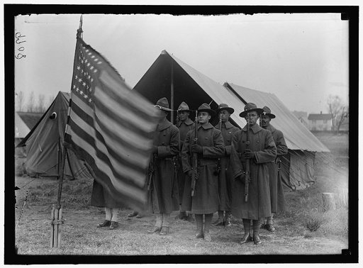 ARMY, U.S. NEGRO TROOPS