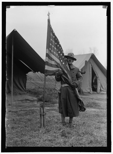 ARMY, U.S. NEGRO TROOPS